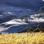 icewine_340 icewine_340