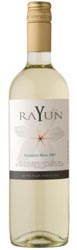 rayun-sb-2009