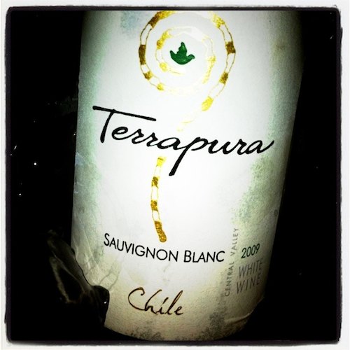 terrapura-sb-2009