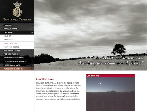 ornellaia-live